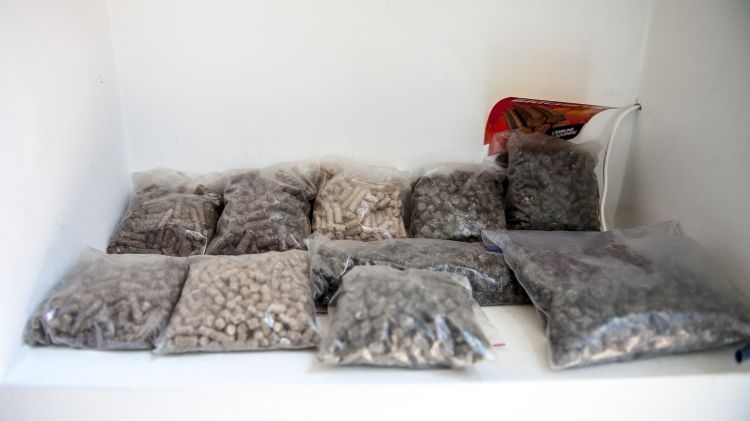 能源貧乏的摩爾多瓦的替代方式