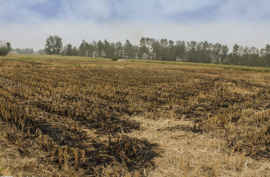 未來三年哈爾濱將大力推進(jìn)秸稈綜合利用