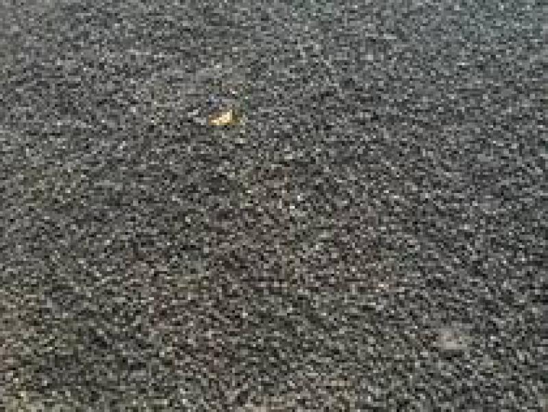 廢棄塑料也能當燃料 印尼大學生設計燃料電池汽車