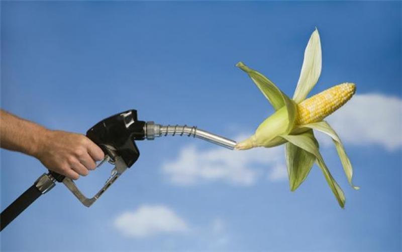 國務院常務會議確定生物燃料乙醇產業(yè)總體布局