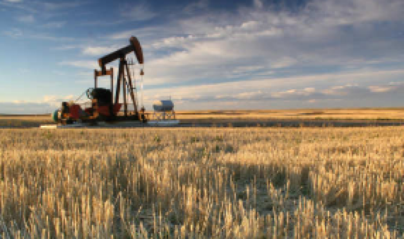 印度原油產(chǎn)量下降4.19％，推動9月份進(jìn)口依賴度達(dá)到83.7％