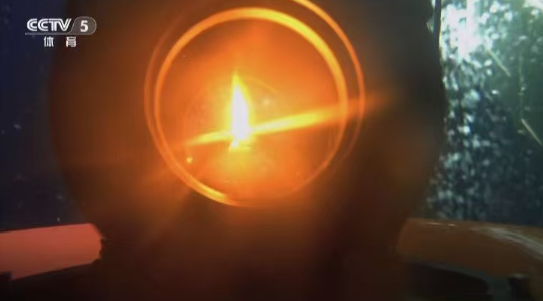 第十五屆全國運動會采用南?？扇急晒ν瓿苫鸱N采集